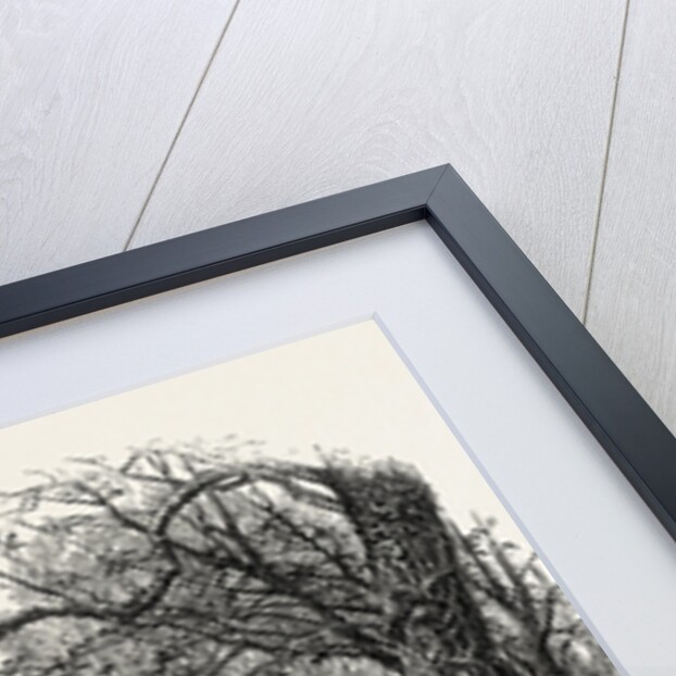 High Beech, Epping Forest by Anonymous