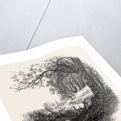 High Beech, Epping Forest by Anonymous