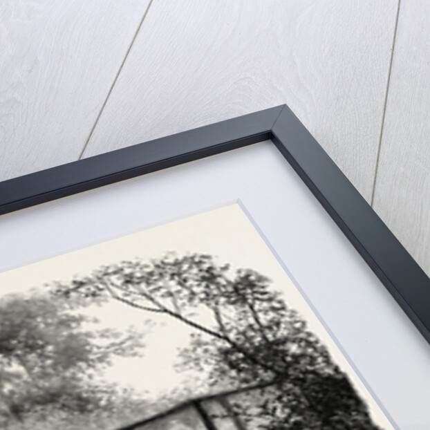 Near Godalming, Surrey, England by Anonymous