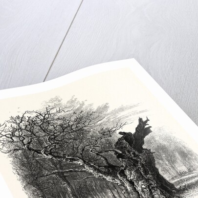 Giant Oak, Near Cranbourne Tower by Anonymous