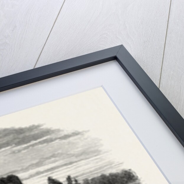 Holy Cross Abbey, Ireland by Anonymous