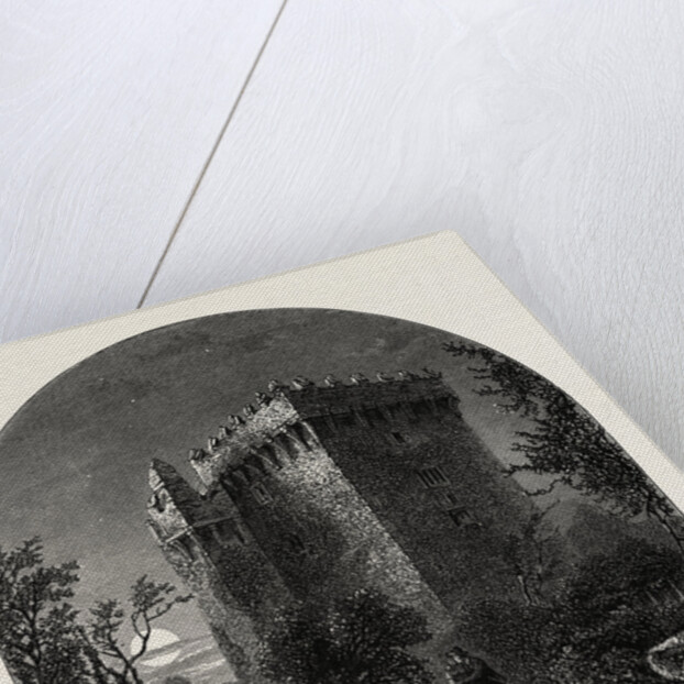 Blarney Castle, Ireland by Anonymous