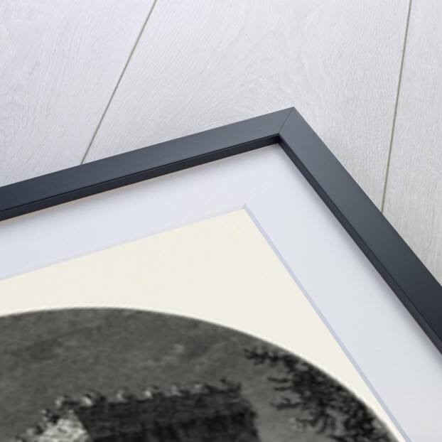 Blarney Castle, Ireland by Anonymous