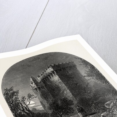 Blarney Castle, Ireland by Anonymous