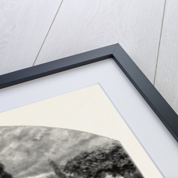 Iffey Mill by Anonymous