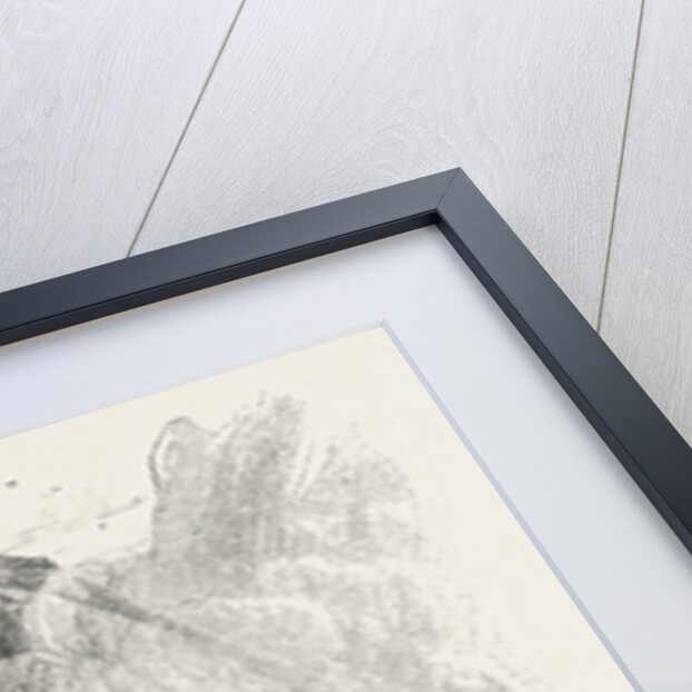 The Post-Office and Bellows by Anonymous