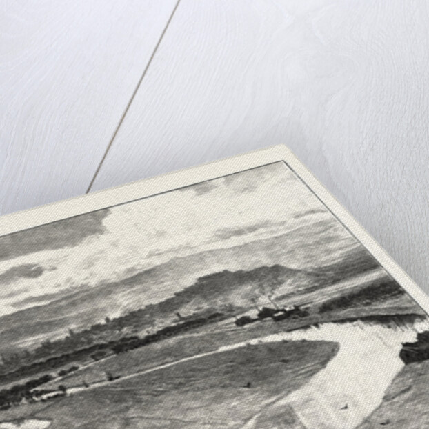 Stirling, from Abbey Craig by Anonymous