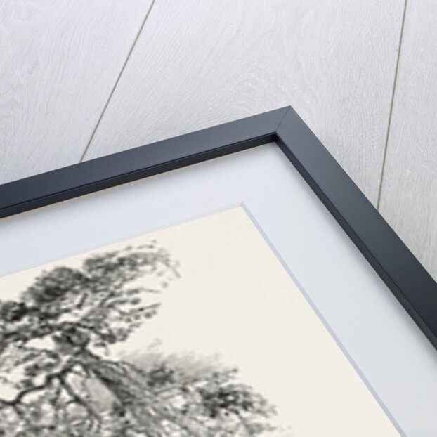 Linn of Dee; Linn of Corriemulzie by Anonymous