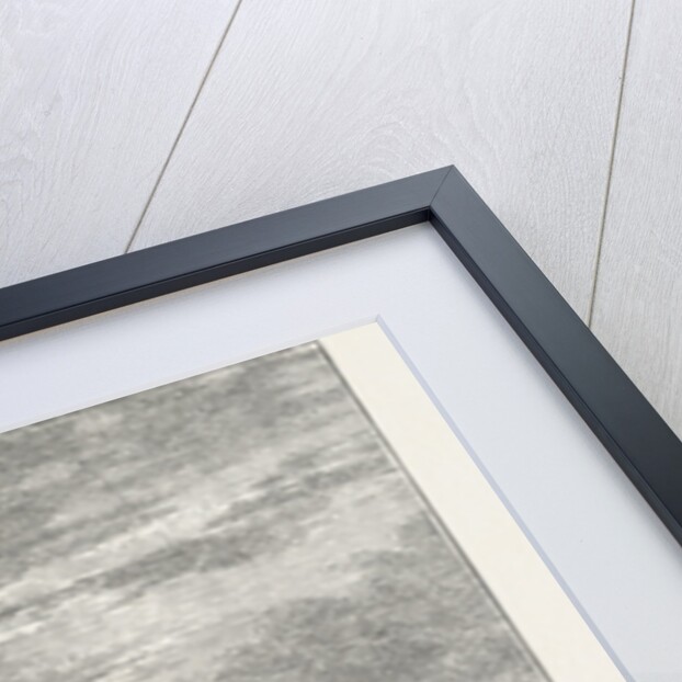 The Bass Rock, from North Berwick by Anonymous