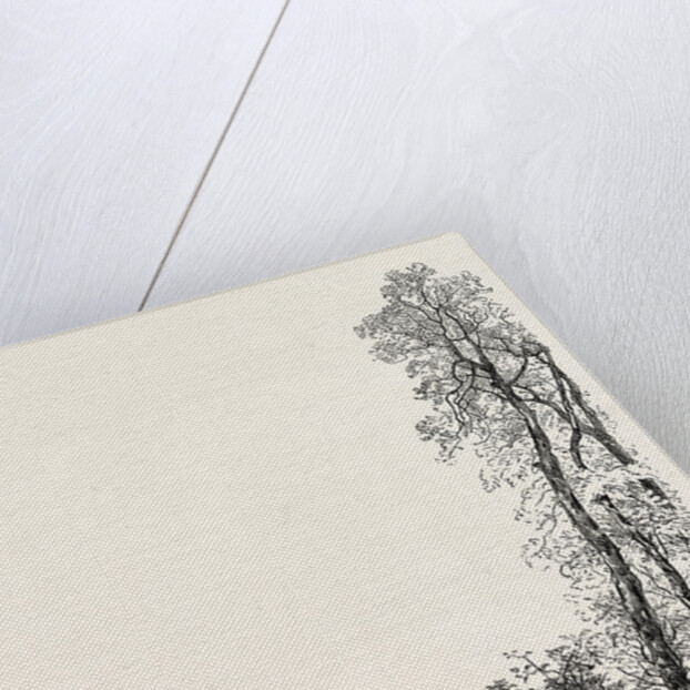 Twisell Bridge by Anonymous