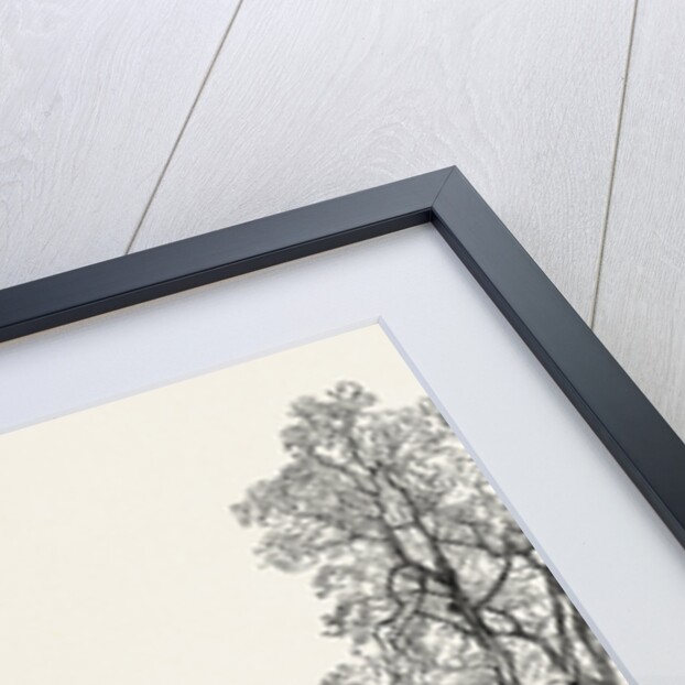 Twisell Bridge by Anonymous