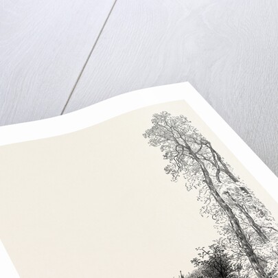 Twisell Bridge by Anonymous