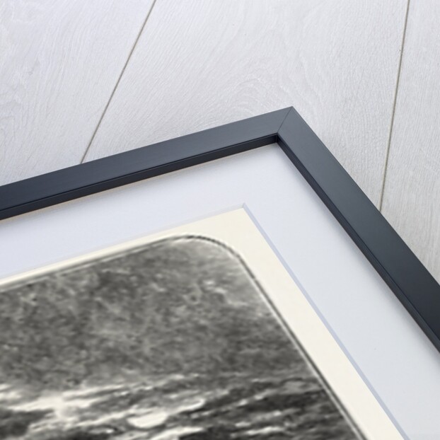 Melrose Abbey: The East Window by Anonymous