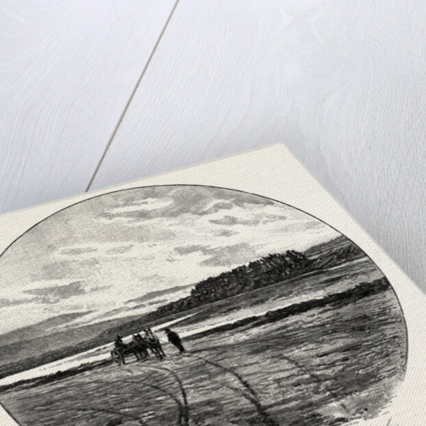 The Coquet at Farnham by Anonymous