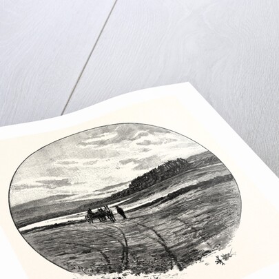 The Coquet at Farnham by Anonymous