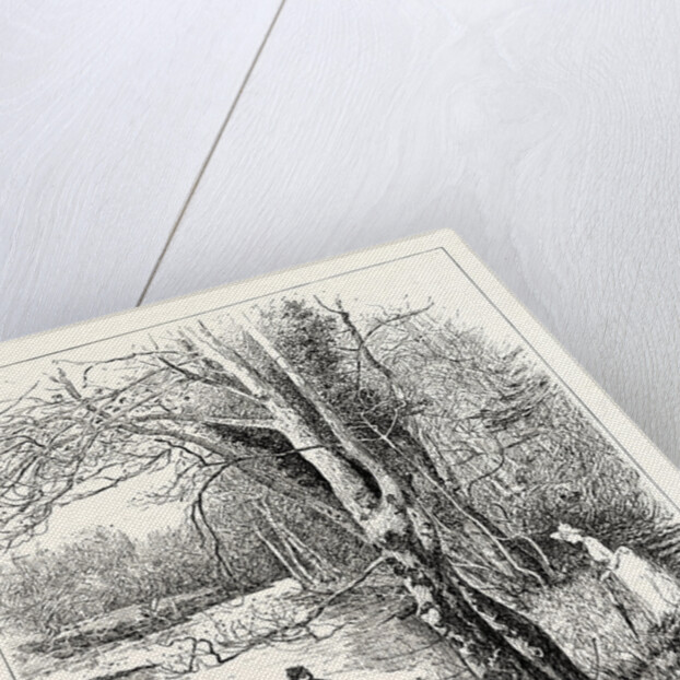 On the Coquet, Brinkburn by Anonymous