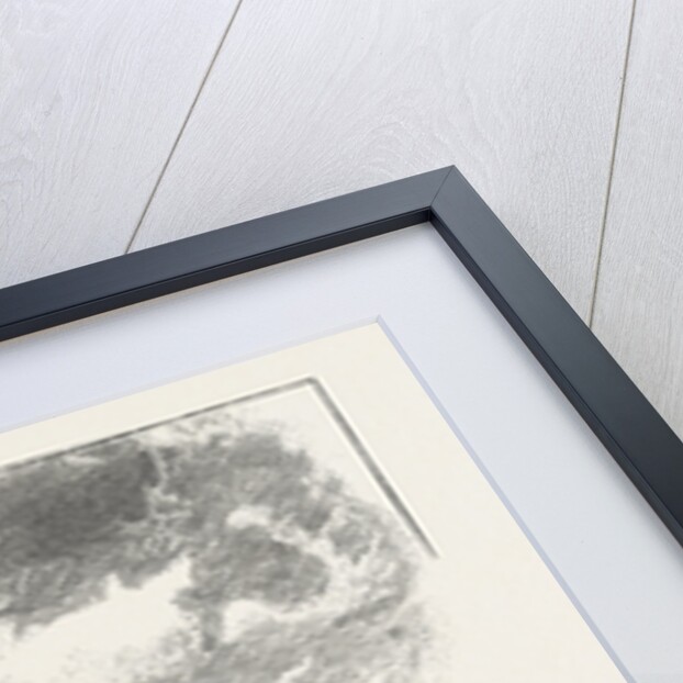 The River at Tynemouth Castle by Anonymous