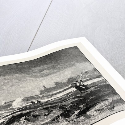 Tynemouth, from Cullercoats by Anonymous