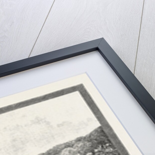 Bishop Auckland Palace and Park by Anonymous