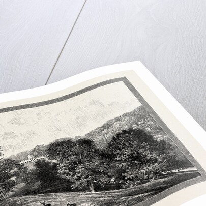 Bishop Auckland Palace and Park by Anonymous