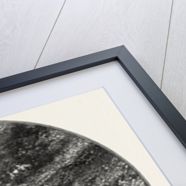 On the Greta at Rokeby by Anonymous