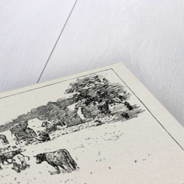 Wycliffe by Anonymous