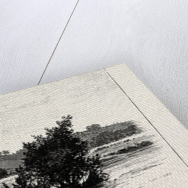 Cannock Chase, from the Trent by Anonymous