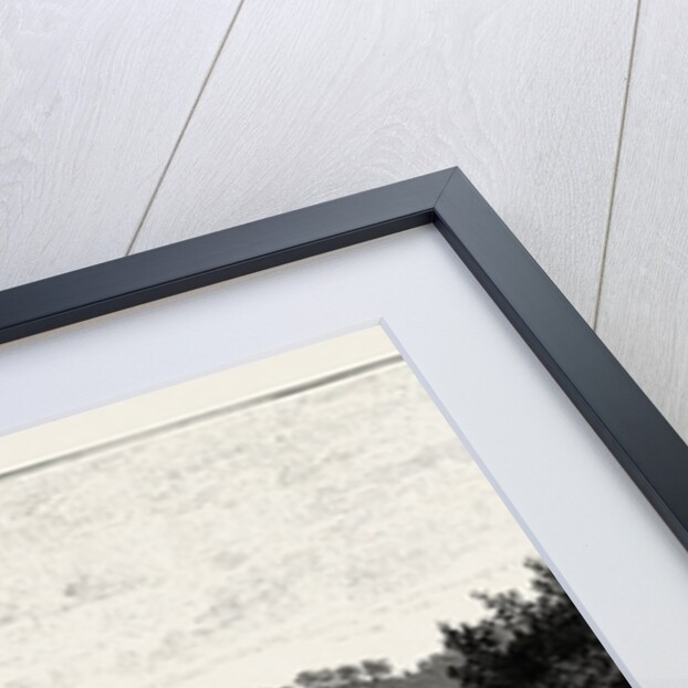 Cannock Chase, from the Trent by Anonymous