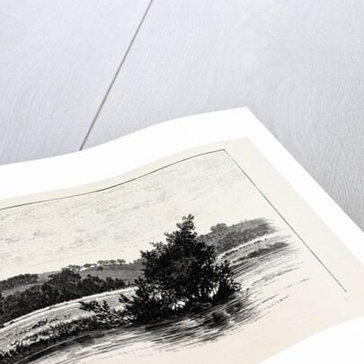 Cannock Chase, from the Trent by Anonymous