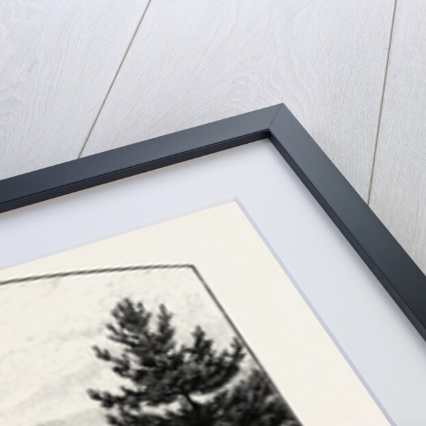 Ashbourne Church by Anonymous