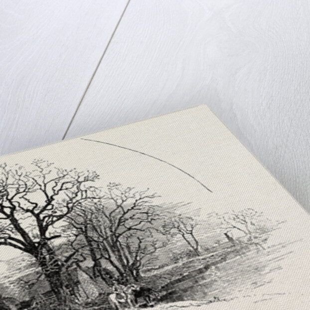 The Crow Trees, Barrow-on-Trent by Anonymous