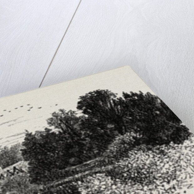 The High Tor, Matlock by Anonymous