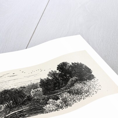 The High Tor, Matlock by Anonymous