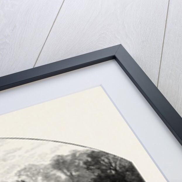 Bishopthorpe by Anonymous