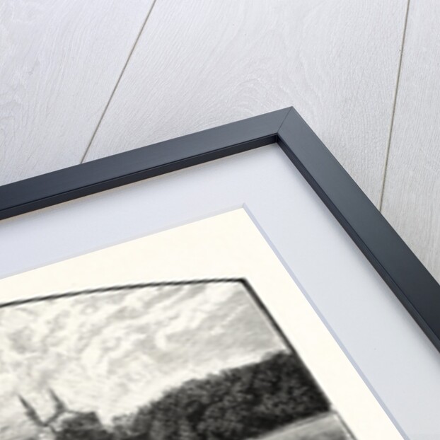 Peterborough Cathedral by Anonymous