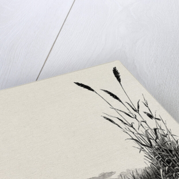 Among the Fens by Anonymous