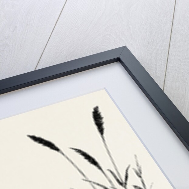 Among the Fens by Anonymous