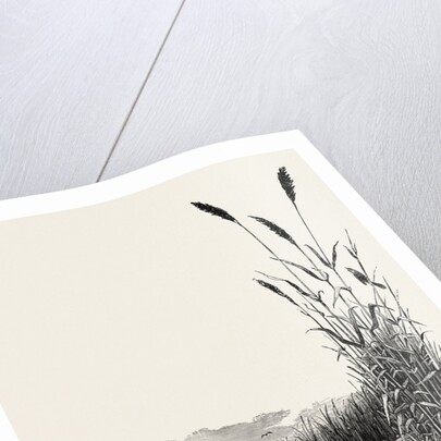 Among the Fens by Anonymous