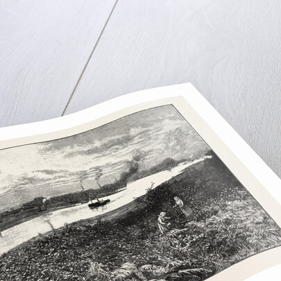 On the Orwell at Ipswich by Anonymous