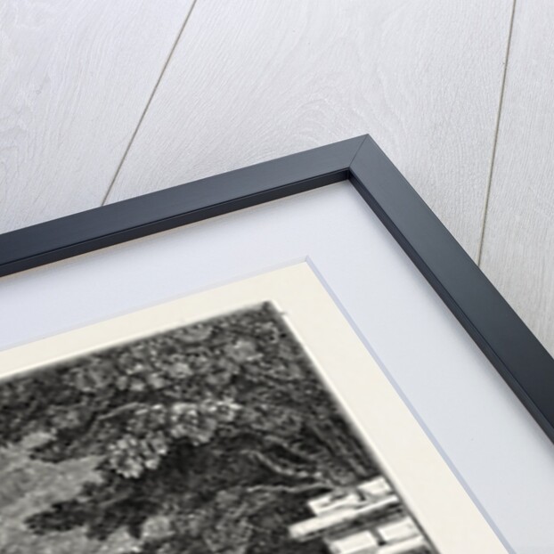 Protestant Cemetery at Caraccas, Santiago De Leon De Caracas, Venezuela by Anonymous