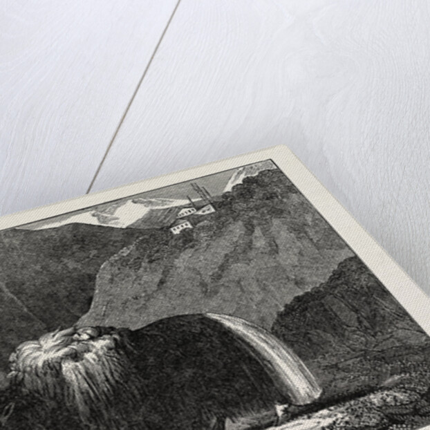 The Yak of Thibet by Anonymous