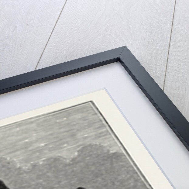 Military Costume of Edward the Black Prince, Edward of Woodstock, in 1376. by Anonymous