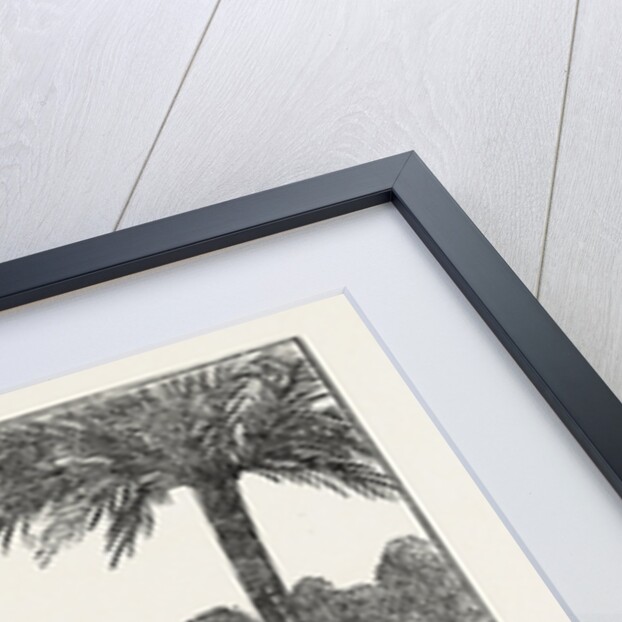 The Air Volcanoes of Turbaco, a Municipality in the Bolívar Department of Colombia. by Anonymous