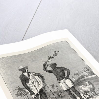 The Sheep-Eater of Hindostan: The Sheep-Eater and His Gurw, India by Anonymous