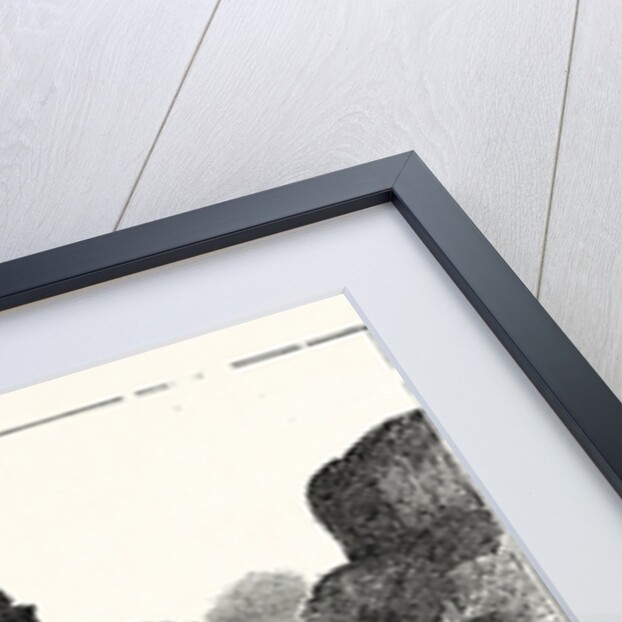 The American Steam Vessel, the Carroll of Carrolton by Anonymous