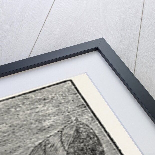 The Male and Female Glow-Worm. by Anonymous