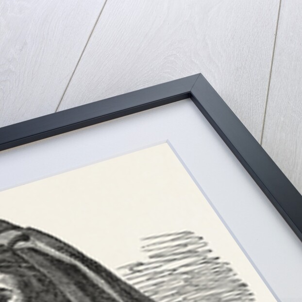 Whittington and His Cat: Great London City by Anonymous