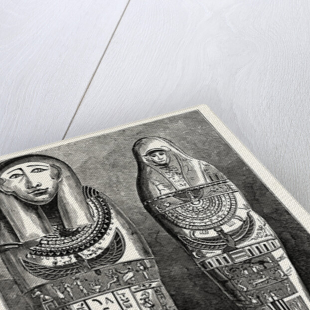 Egyptian Mummy and Case in the British Museum. London by Anonymous