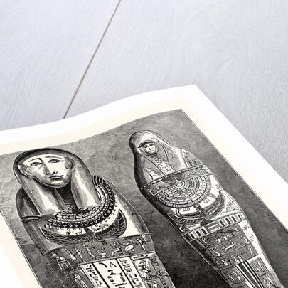 Egyptian Mummy and Case in the British Museum. London by Anonymous