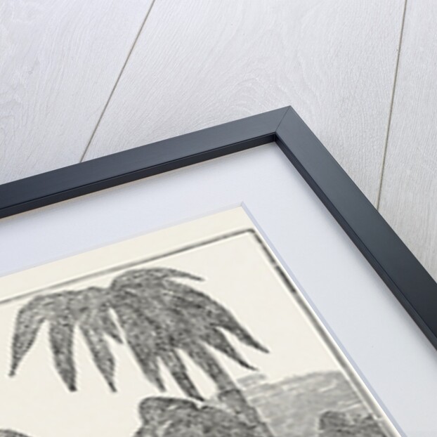 Singular Dexterity of a Goat by Anonymous